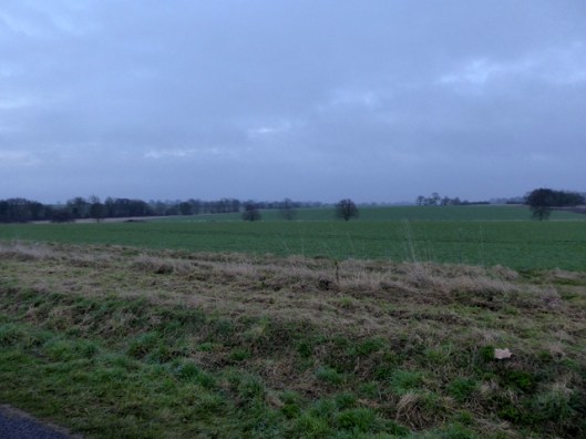 p1010593new-years-eve