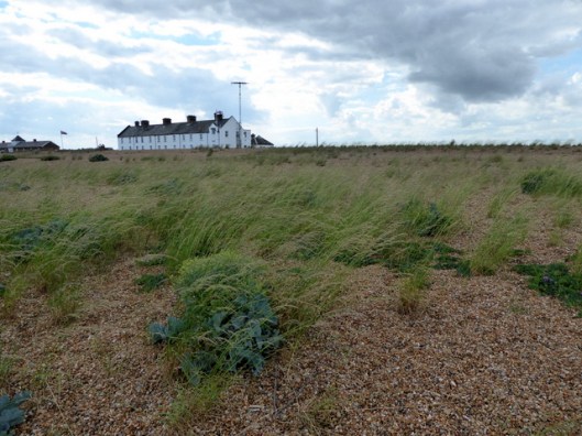 p1000717coastguard-houses