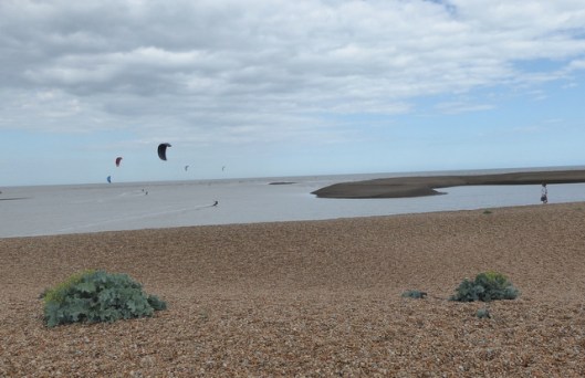 p1000720shingle-street
