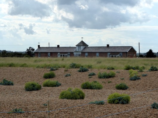 p1000725shingle-street