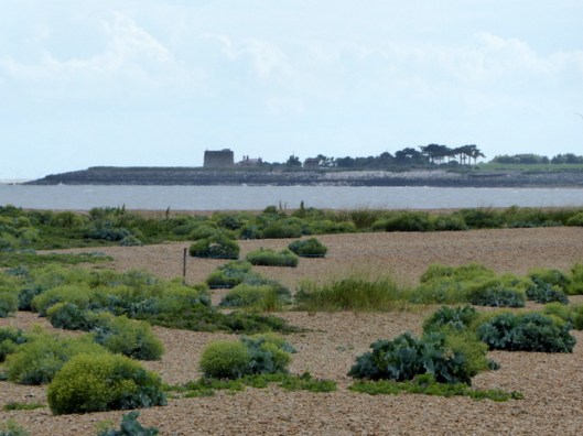 p1000726shingle-street