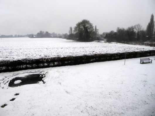 p1010687sunday-morning-snow